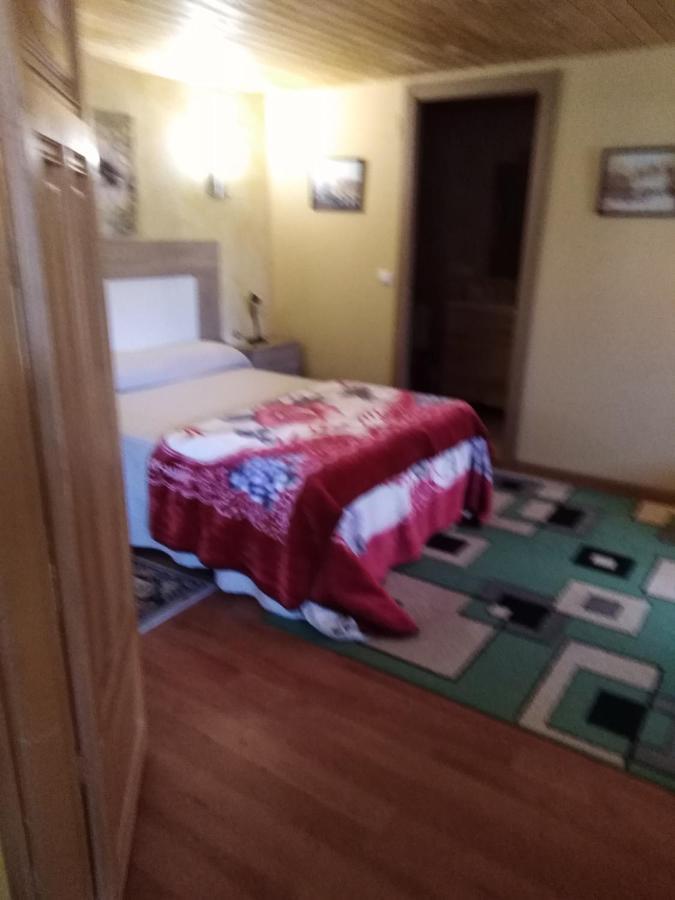 Boomerang Cottage B&B Quintanapalla 외부 사진