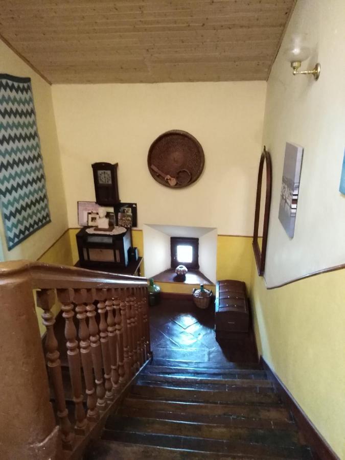 Boomerang Cottage B&B Quintanapalla 외부 사진